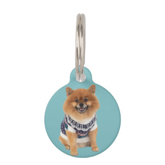 Placa Para Mascotas Poochie Dog Sweater |