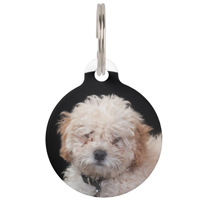 Placa Para Mascotas Poodle (Anverso)