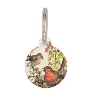 Placa Para Mascotas Primavera Robin Birds Red Birds