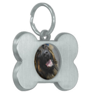 Placa Para Mascotas Producto del personalizar