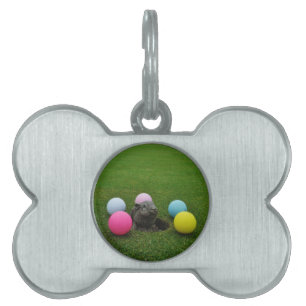 Placa Para Mascotas Producto personalizar