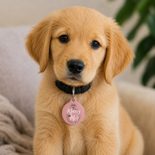 Placa Para Mascotas Propuesta de Casarme