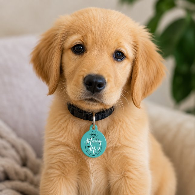 Placa Para Mascotas Propuesta de Casarme (Proposal Dog Tag)