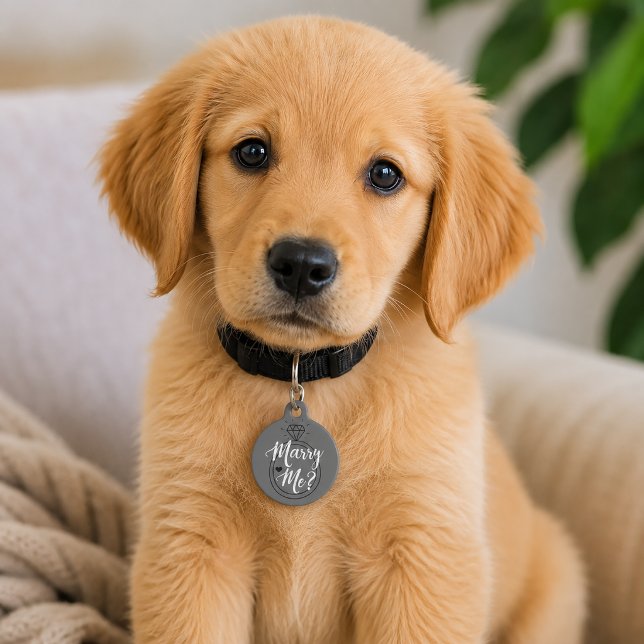 Placa Para Mascotas Propuesta de Casarme (Marry Me Dog Proposal)