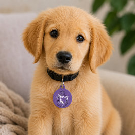 Placa Para Mascotas Propuesta de Casarme