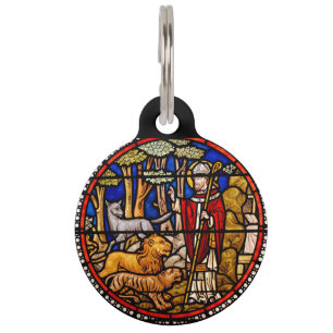 Placa Para Mascotas Protector de animales de San Francisco