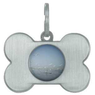 Placa Para Mascotas Puedo volar