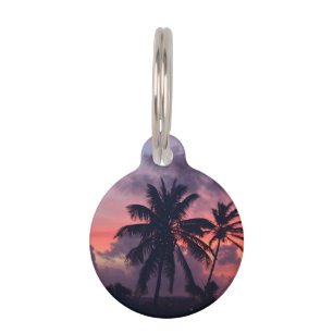 Placa Para Mascotas Puesta del sol tropical brillante