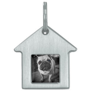 Placa Para Mascotas Pug guapo