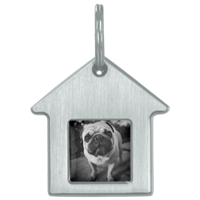 Placa Para Mascotas Pug guapo (Frente)