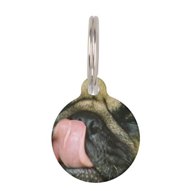 Placa Para Mascotas Pugalicious (Anverso)
