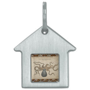 Placa Para Mascotas Pulpo Kraken Antiguo Marino Vida Silvestre Costera