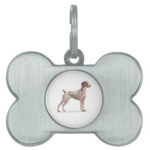 Placa Para Mascotas Puntero de Shorthtransmitió alemán