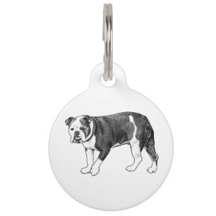 Placa Para Mascotas Punto de Identidad, Etiqueta de Bulldog