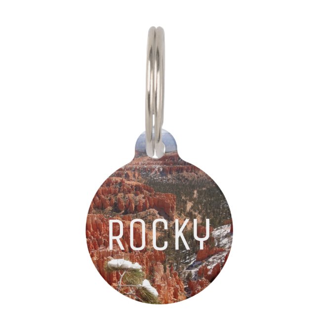 Placa Para Mascotas Punto de inspiración en el Cañón Bryce I (Anverso)