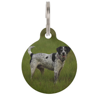 Placa Para Mascotas Puro placer