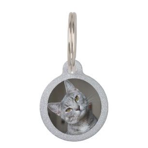 Placa Para Mascotas Purpurina de Plata Mascota Cat Kitten - Mascota de