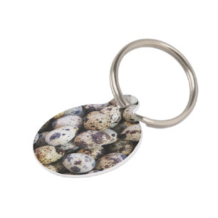 Placa Para Mascotas Quail Eggs