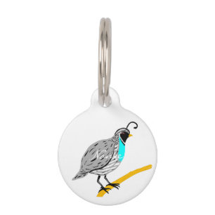 Placa Para Mascotas Quail Thunder_Cove de Bobwhite Blue