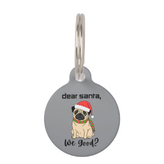 Placa Para Mascotas Querido Papá Noel, ¿Estamos Bien? Etiqueta de nomb