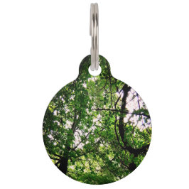 Placa Para Mascotas Ramas de árbol