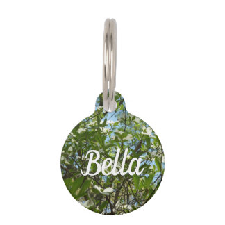 Placa Para Mascotas Ramas de Dogwood florecen árboles de primavera