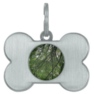 Placa Para Mascotas Ramas y hojas etiqueta de mascota