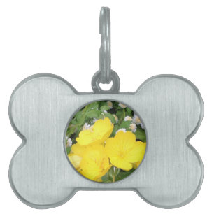 Placa Para Mascotas Ranúnculo y respiración de los bebés