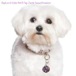 Placa Para Mascotas Rapto en color