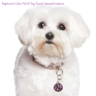 Placa Para Mascotas Rapto en color