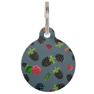 Placa Para Mascotas Raspberry