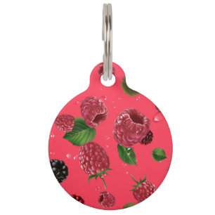Placa Para Mascotas Raspberry