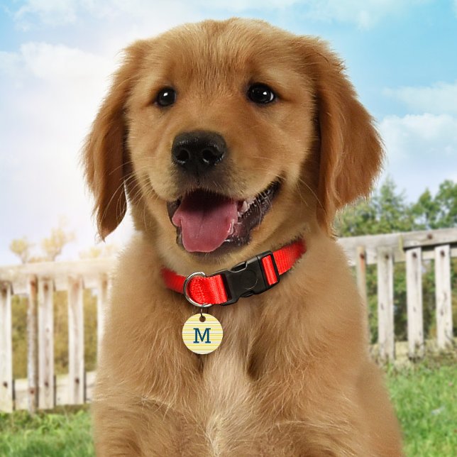 Placa Para Mascotas Rayas de verano monograma personalizado etiqueta d (Subido por el creador)