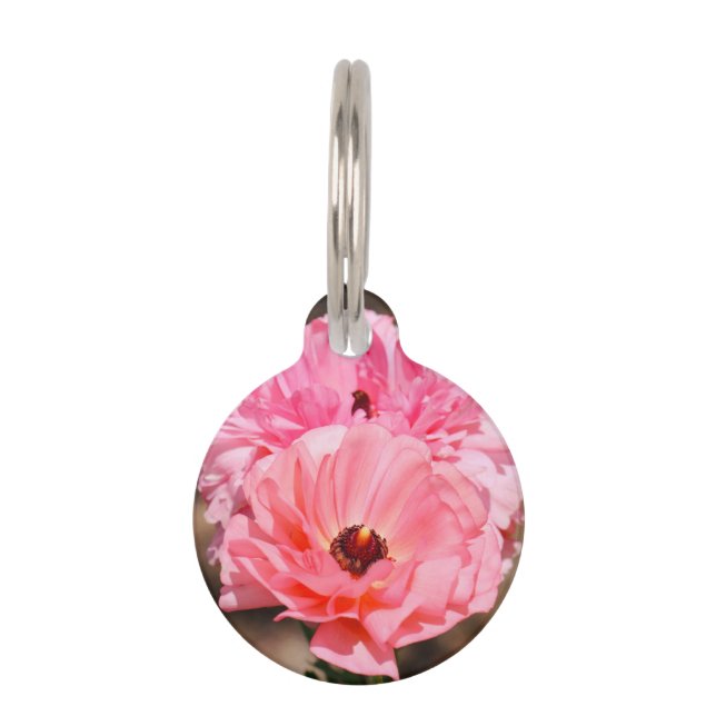 Placa Para Mascotas Recortar en rosa (Anverso)