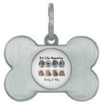 Recuerdos de la vida de mascotas Plantilla de trib