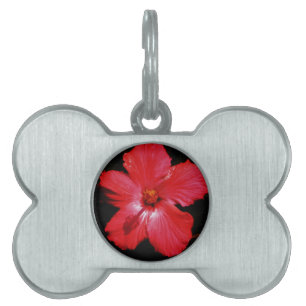 Placa Para Mascotas Red Hibiscus