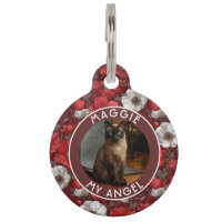 Regalo de Anémonas Flor para Papá Gato Hermoso