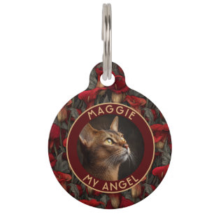 Placa Para Mascotas Regalo de Gatos Coloridos para Dueños de Lirios de