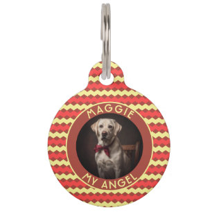 Placa Para Mascotas Regalo de papá gato moderno Chevron Checkers