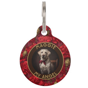 Placa Para Mascotas Regalo para amantes de perros modernos con clavele