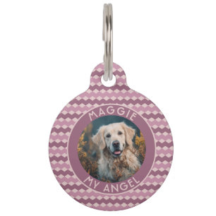 Placa Para Mascotas Regalo para dueños de gatos trendy con patrón Chev