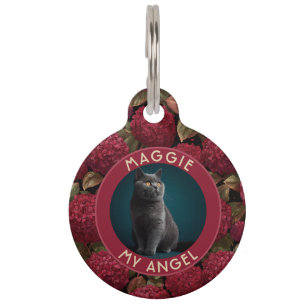 Placa Para Mascotas Regalo personalizado audaz con temática de mascota