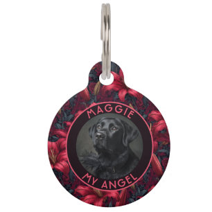 Placa Para Mascotas Regalos Atractivos Para Dueños De Mascotas Estampa