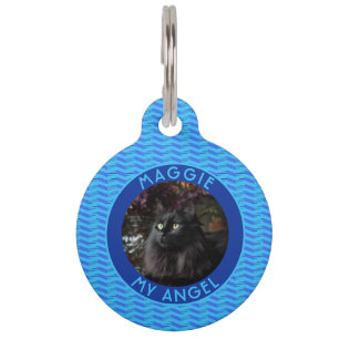 Placa Para Mascotas Regalos Coloridos Para Mascotas Chevron Checkers