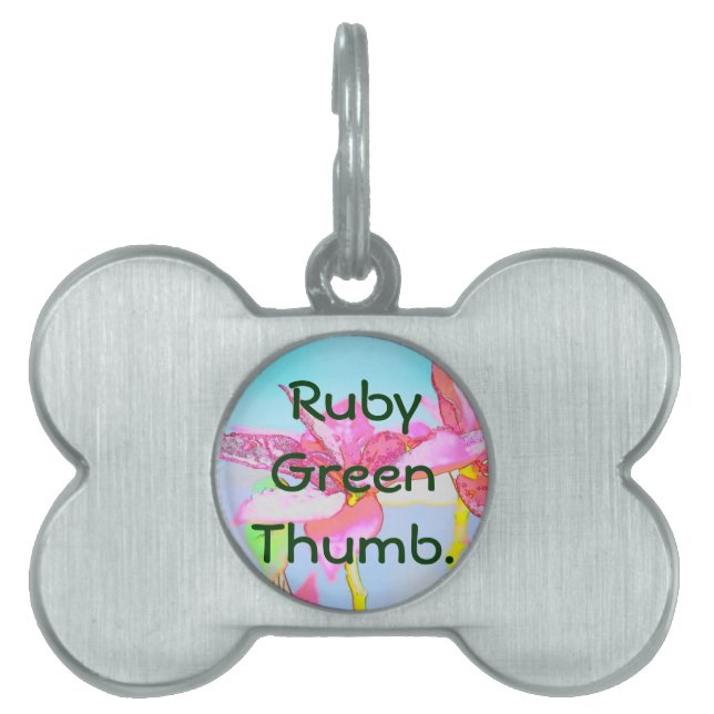 Placa Para Mascotas Regalos de Poinsettia (Frente)