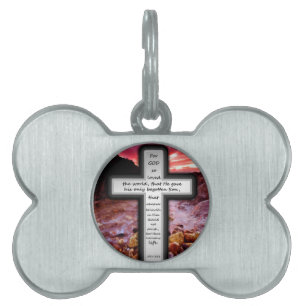 Placa Para Mascotas Regalos del 3:16 de Juan