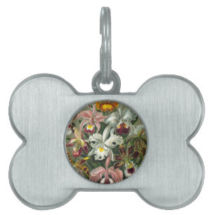 Placa Para Mascotas regalos personalizados para familiares y amigos