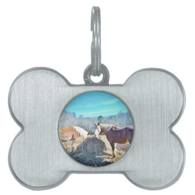 Placa Para Mascotas Rescatados Caballos Borradores comiendo heno (Frente)