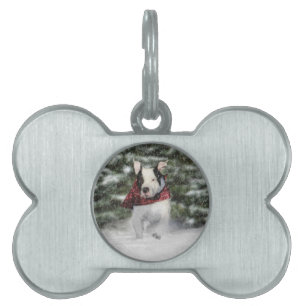 Placa Para Mascotas Rescate de bulldoges cayendo por la nieve