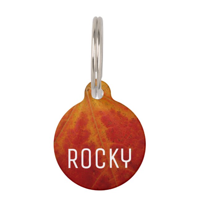 Placa Para Mascotas Resumen de la hoja de arce roja Fotografía de la n (Anverso)